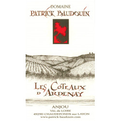 Patrick Baudouin Anjou rouge les Côteaux d'Ardenay 2016
