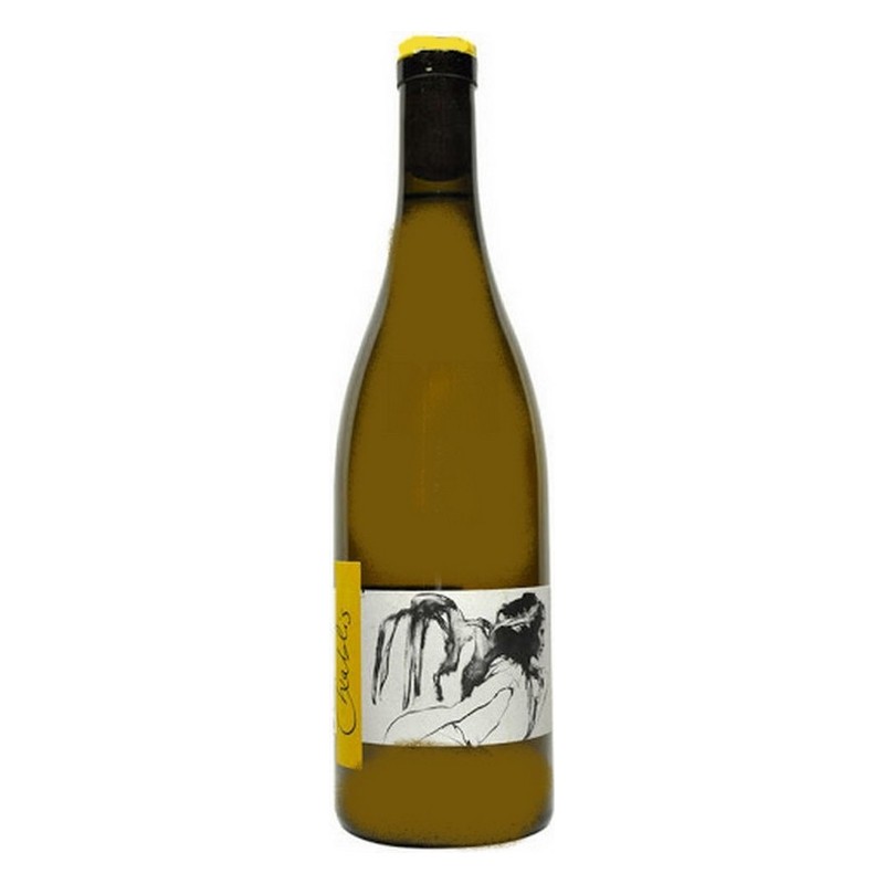Domaine Pattes Loup Pico Chablis Vent d'Ange Mise tardive 2019