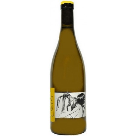 Domaine Pattes Loup Pico Chablis Vent d'Ange Mise tardive 2019 Domaine Pattes Loup Pico Chablis Vent d'Ange Mise tardive 2019
