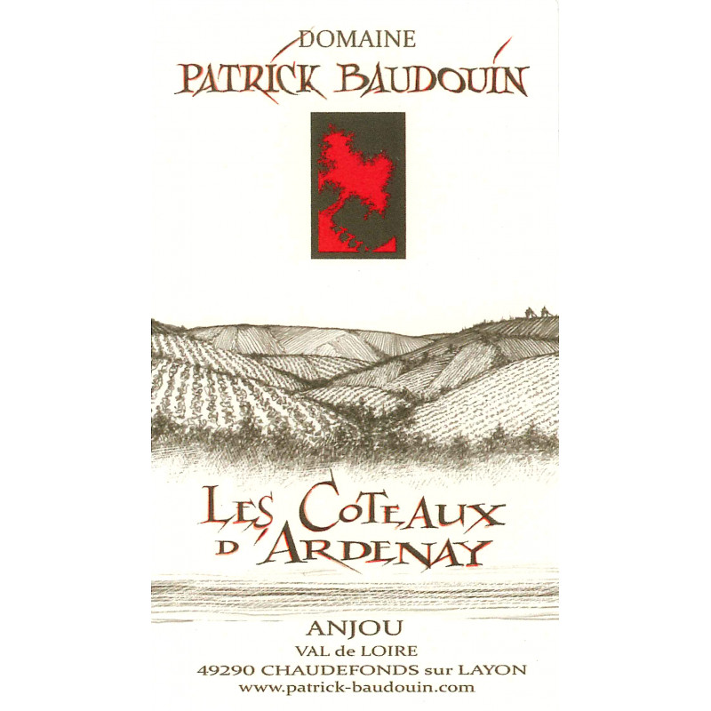 Patrick Baudouin Anjou rouge les Côteaux d'Ardenay 2018