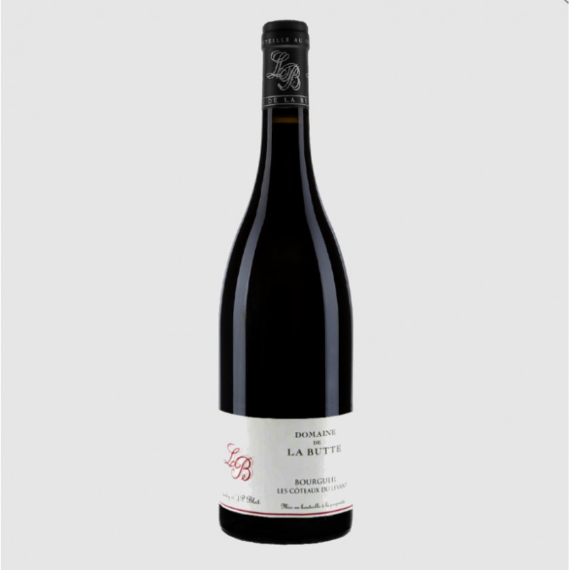 Domaine de la Butte Bourgueil Les Perrières 2021