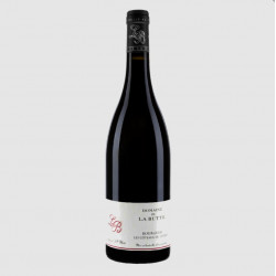 Domaine de la Butte Bourgueil Mi Pente 2021