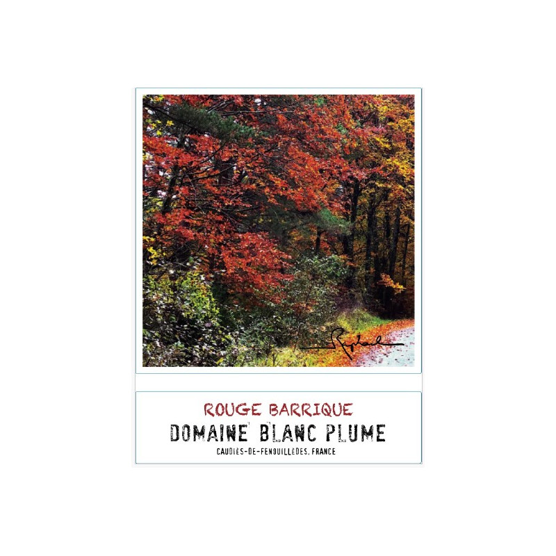 Domaine Blanc Plume Rouge Barrique 2020