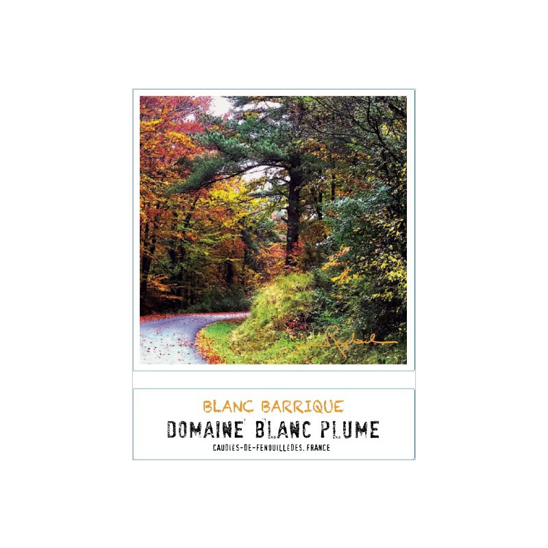 Domaine Blanc Plume Blanc Barrique 2021