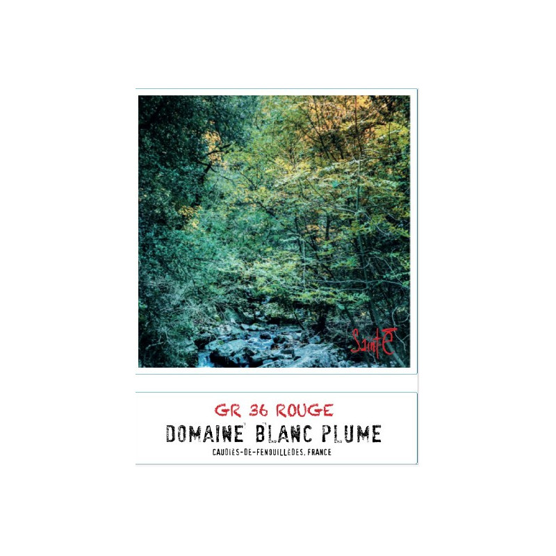 Domaine Blanc Plume GR 36 rouge 2021