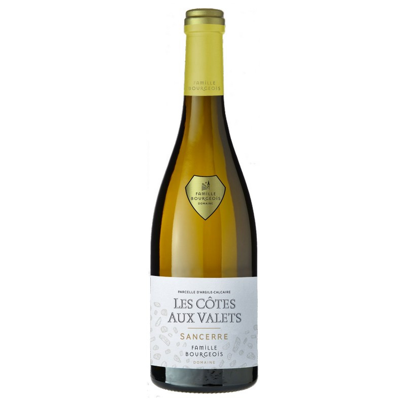 Domaine Henri Bourgeois Sancerre La Côte aux Valets 2019