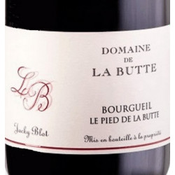 Domaine de la Butte Jacky Blot Bourgueil Le Pied de la Butte 2023
