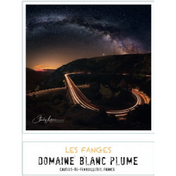 Domaine Blanc Plume les Fanges 2022