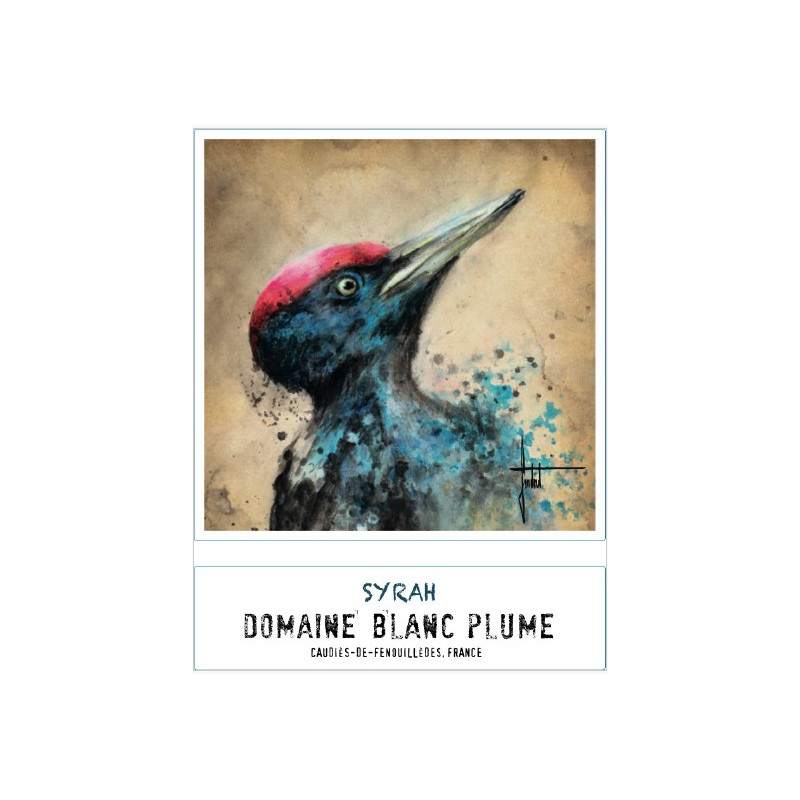 Domaine Blanc Plume Le Pic Noir 2020