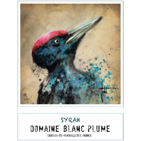 Domaine Blanc Plume Le Pic Noir 2020