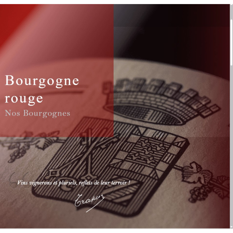 Domaine Jean-Louis Trapet Bourgogne Pinot Noir