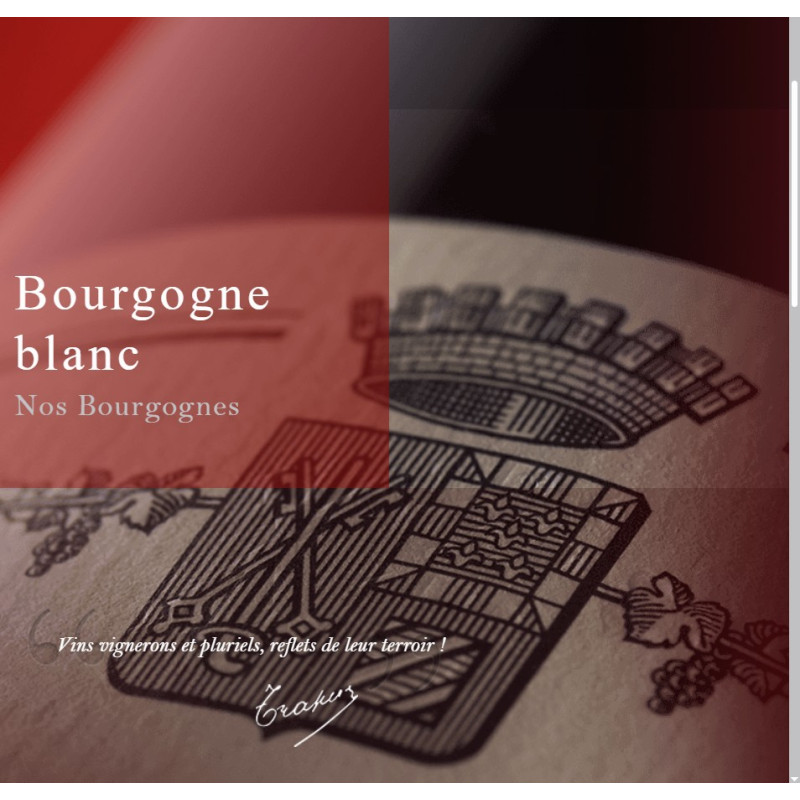 Domaine Jean-Louis Trapet Bourgogne Chardonnay
