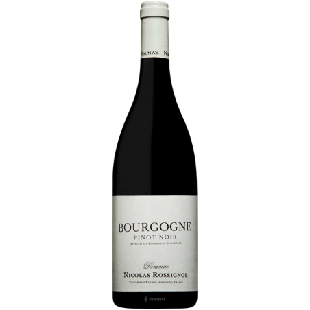 Domaine Nicolas Rossignol Bourgogne pinot noir 2019