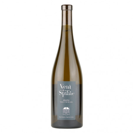 Domaine Ogereau Anjou blanc spilite 2019