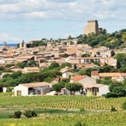 Vallée du Rhône