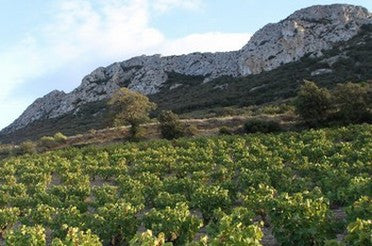 Clos Maia - Géraldine Laval - Nouveau millésime 2018
