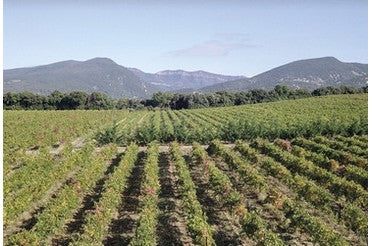 La Papesse 2023 Magnum – un pépite et rareté du Domaine Gramenon à Vinsobres