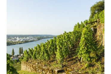 Offre primeur Domaine Laurent Combier 2023 et 2024