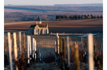Domaine Pattes loup Chablis Vent d'ange 2019 Butteaux et Beauregard 2018