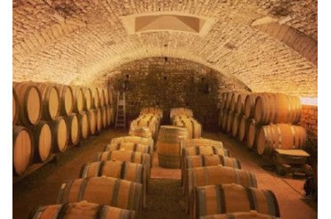 La vinification du vin : toutes les étapes expliquées simplement