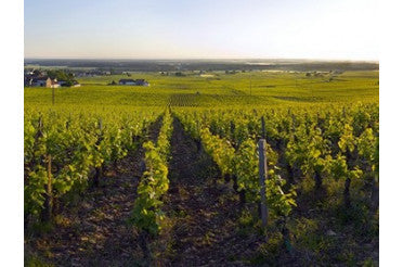 Que manger avec un Vosne-Romanée ? Nos accords mets & vins d’exception