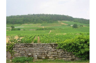 Latricières-Chambertin : accords mets & vins pour un Grand Cru raffiné de Bourgogne