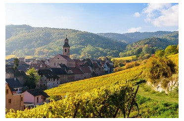 Avec quoi déguster un Grand Cru d’Alsace ? Nos meilleurs accords mets & vins