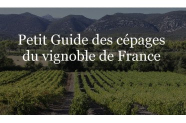 Petit Guide des cépages