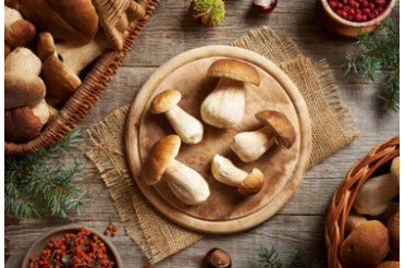 Accords mets vins :  l’accord parfait avec des ceps