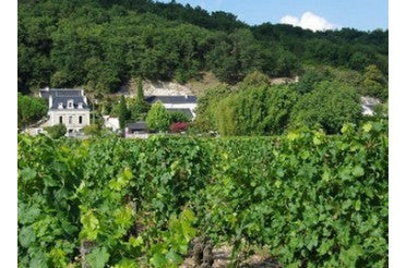 Avec quoi accorder un vin de Chinon ? Nos idées d'accords mets & vins