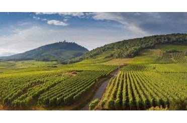 Quel plat avec un Corton-Charlemagne ? Nos accords mets & vins d’exception