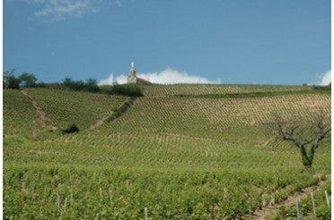 Quel plat avec un Fleurie ? Les meilleurs accords mets & vin pour ce cru du Beaujolais