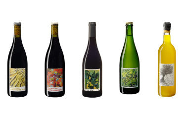 Comment choisir un vin facilement : le guide complet pour débutants