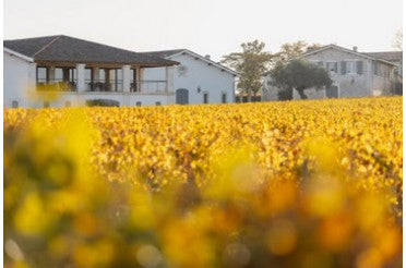 Avec quoi déguster un Haut-Médoc ? Nos meilleurs accords mets & vins