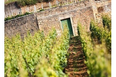 Quel plat avec un Échezeaux Grand Cru ? Nos accords mets & vins d’exception