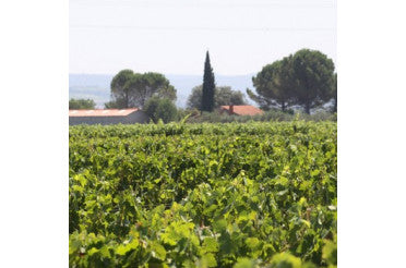 Accords mets & vin des Terrasses du Larzac : L’élégance du Languedoc