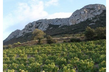Que manger avec un vin de Maury ? Nos accords mets & vins avec ce trésor du Roussillon