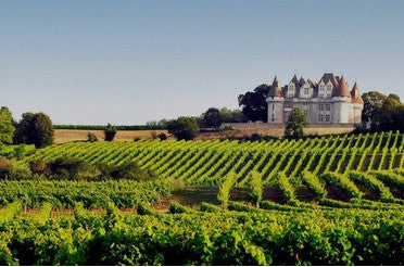 Accords mets & Monbazillac : les meilleures idées pour sublimer ce vin moelleux
