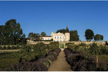 Quel plat servir avec un vin de Pauillac ? Les meilleurs accords mets & vins