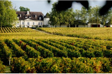 Pessac-Léognan : Accords Mets & Vins pour accompagner Vos Repas