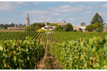 Saint-Émilion : Accords Mets & Vins pour Sublimer Vos Repas