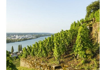 Avec quoi accorder un Saint-Joseph ? Nos idées d'accords mets & vins réussis