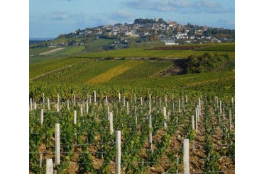 Avec quoi déguster un Sancerre ? Nos accords mets & vins incontournables