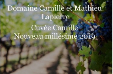 Réservation de la cuvée Morgon Camille 2019 du domaine Marcel Lapierre