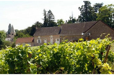 Que manger avec un Givry ? Nos meilleurs accords mets & vins avec ce Pinot Noir de Bourgogne