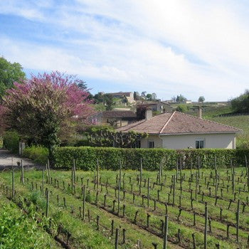 AOC Pomerol