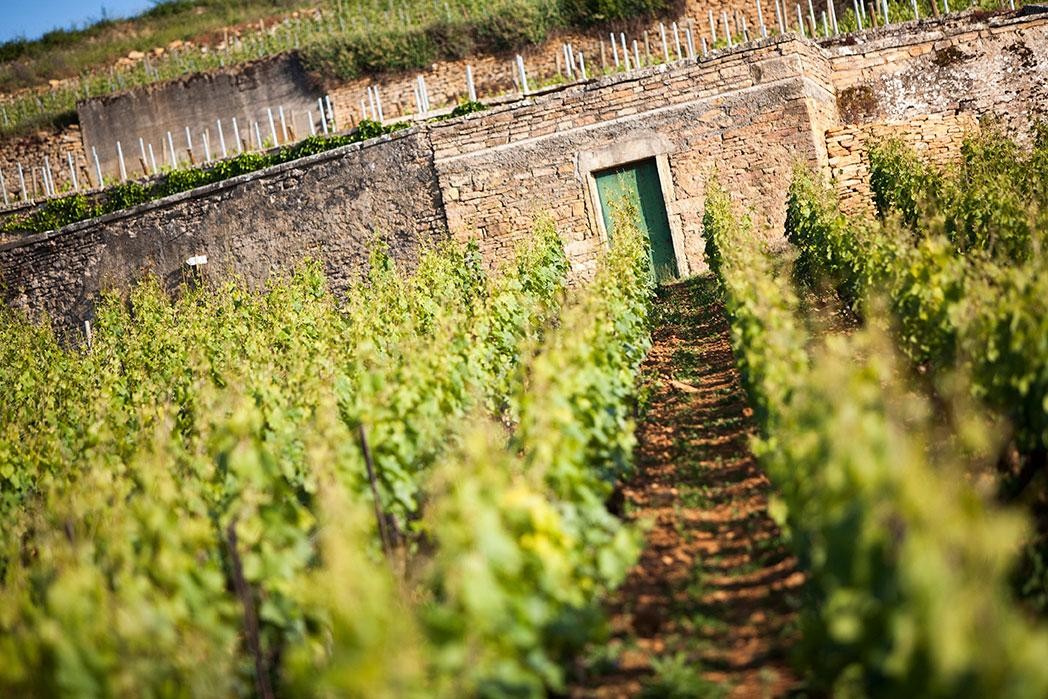 AOC Beaune
