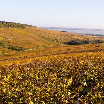 AOC Chablis