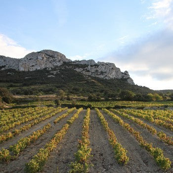 Domaines