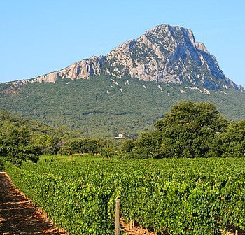 Pic Saint Loup